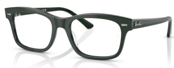 Ray-Ban RX5383 Mr Burbank - Green 8226