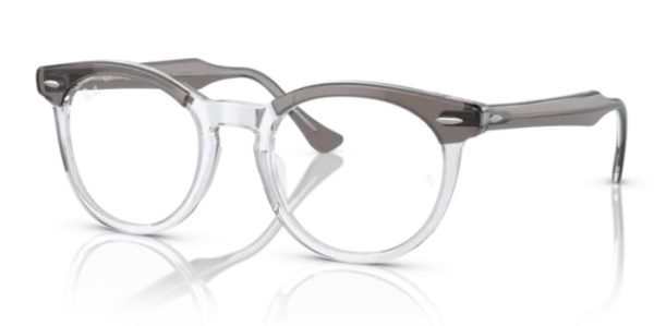 Ray-Ban RX5598 EagleEye - Grey Transparent 8111