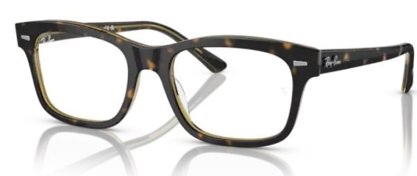 Ray-Ban RX5383 Mr Burbank - Havana Transparent 8285