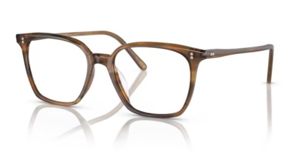 Oliver Peoples Rasey OV5488U - Raintree 1011