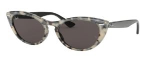 Ray Ban 4314N 125139 sunglasses