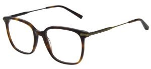 Ted Baker Miles 8295 407 tortoise glasses